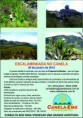 /album/galeria-de-fotos-novidades/escalaminhada-no-canela-jpg/